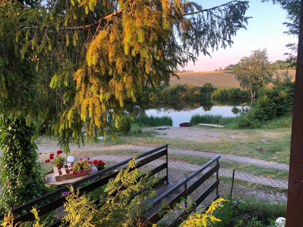Kaszubski Loft Z Wlasnym Stawem Rybnym Zukowo Luaran gambar